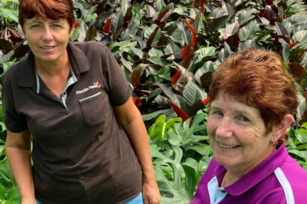 158255477_1692589577580042_452468481919764279_n