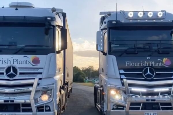 486629103_1292350445579789_8074583330810259078_n